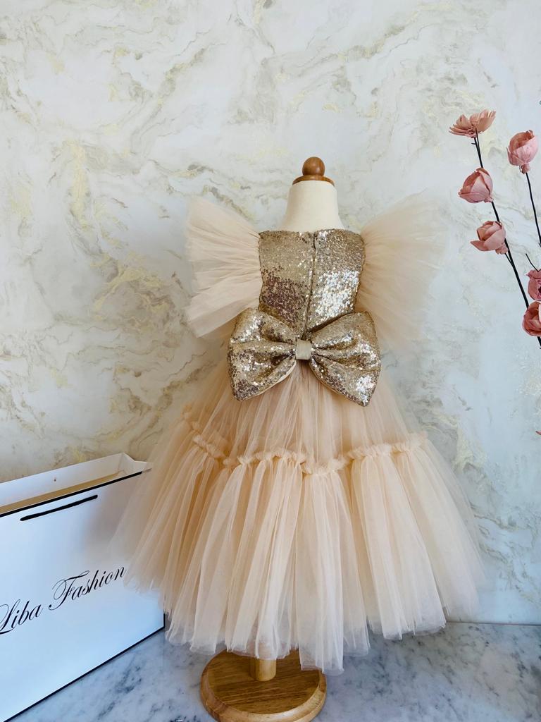 backless lace mermaid dress Mermaid Tulle Skirt Lace Long Prom Dress main image 0