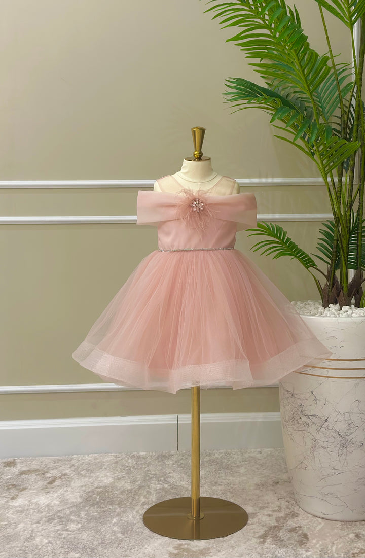 Naomi Girls Blush Pink Feather Party Dress