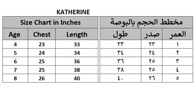 Katherine Baby Blue Floral Party Dress for Girls