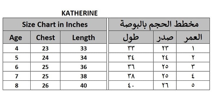 Katherine Baby Blue Floral Party Dress for Girls