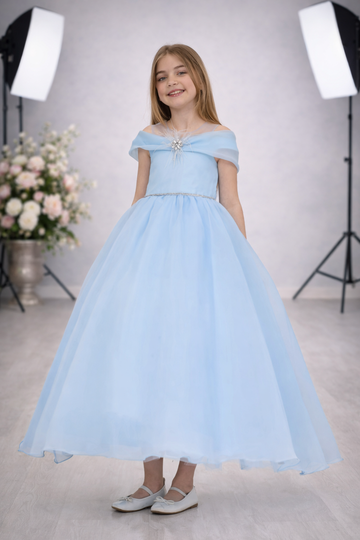 Rehanna Girls Blue Feather Party Gown