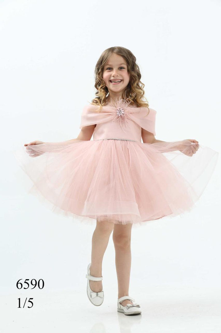 Naomi Girls Blush Pink Feather Party Dress