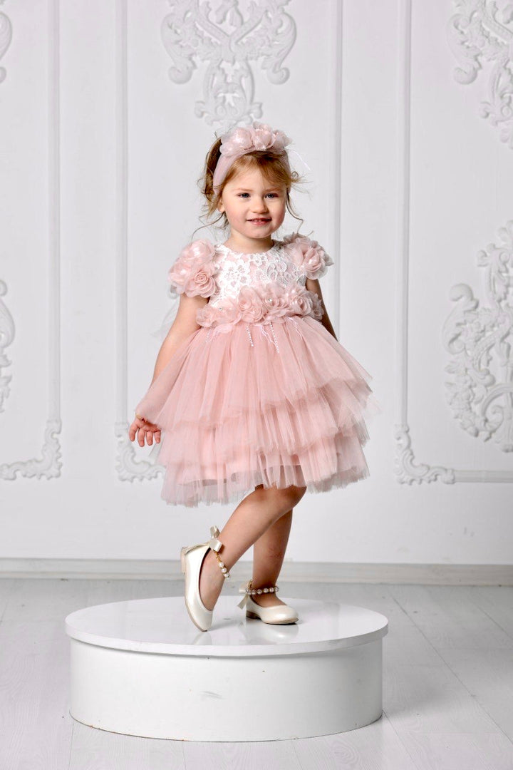 Birthday Dress for 2 year old Baby girl online