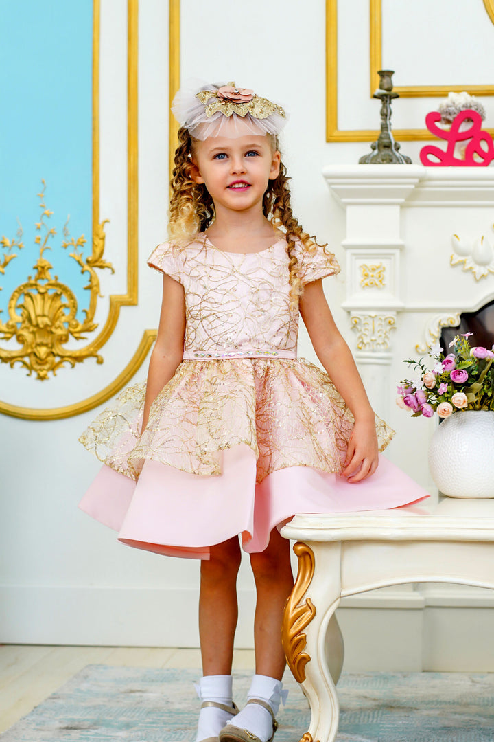 Isabella Pink Girl Birthday / Party Dress