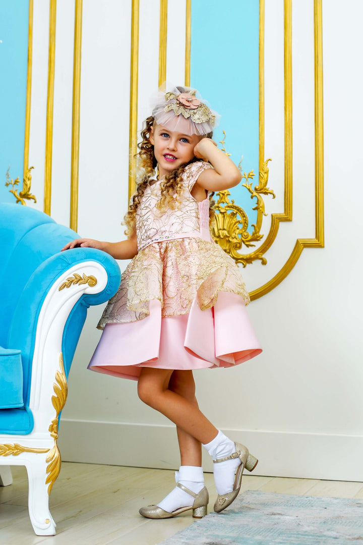 Isabella Pink Girl Birthday / Party Dress