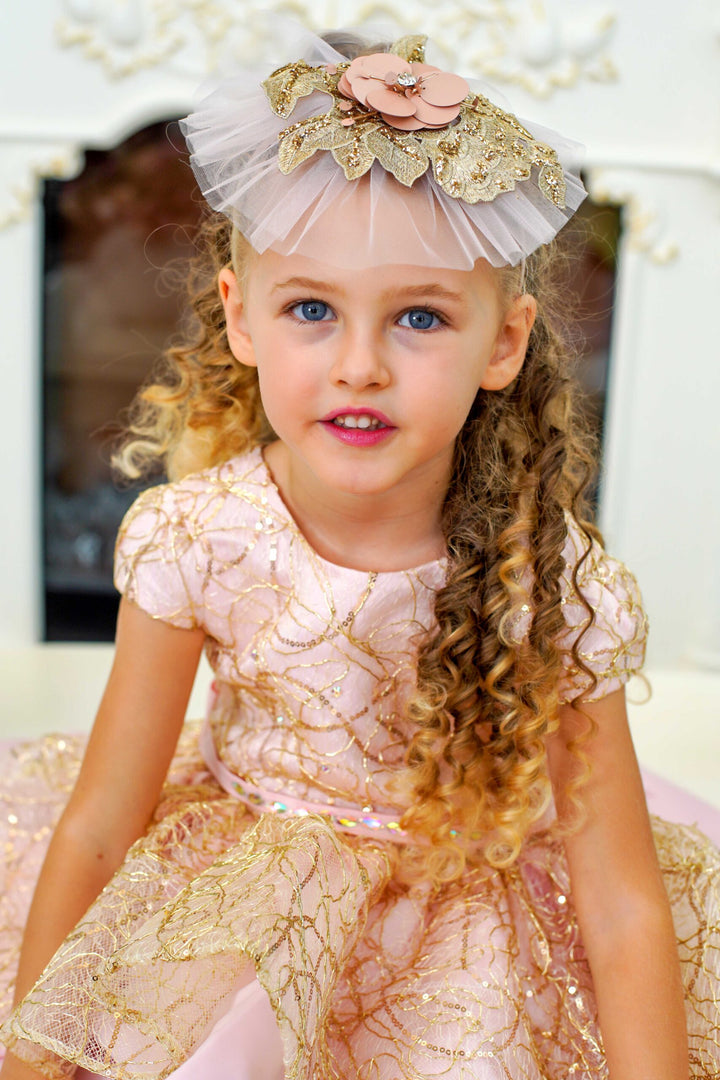 Isabella Pink Girl Birthday / Party Dress