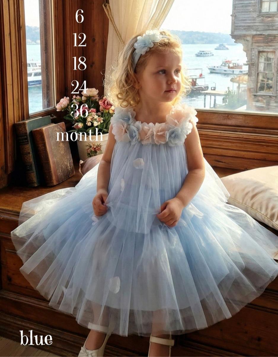 Dilan Blue Layered Tulle Baby Party Dress with Floral Neckline