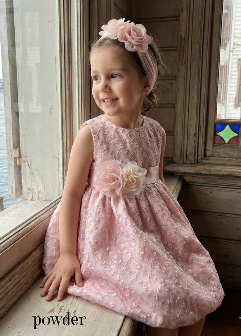 Andrea Floral Embroidered Pink Party Dress for Baby Girls