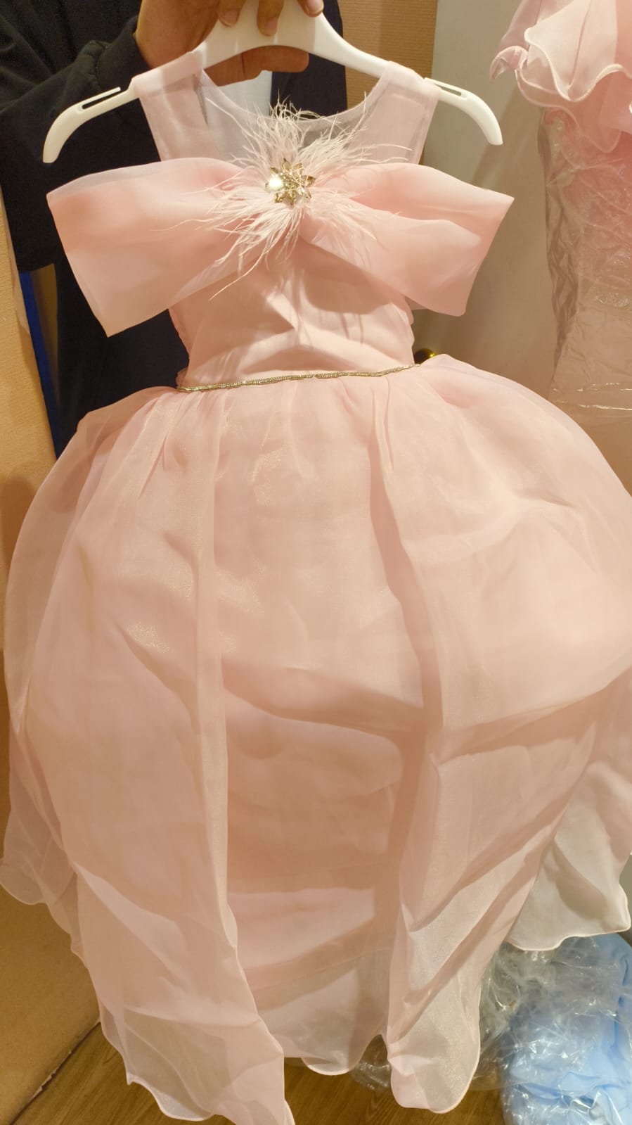 Rehanna Girls Baby Pink Feather Party Gown