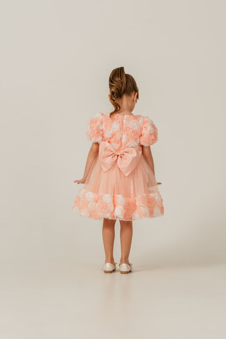 Regina Girls Peach Rose Tulle Birthday Party Dress