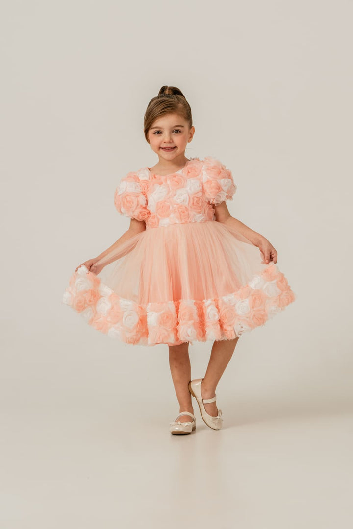 Regina Girls Peach Rose Tulle Birthday Party Dress