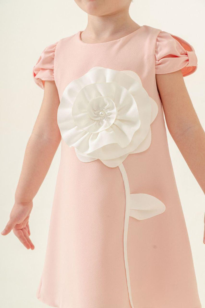 baby girl birthday dress uae