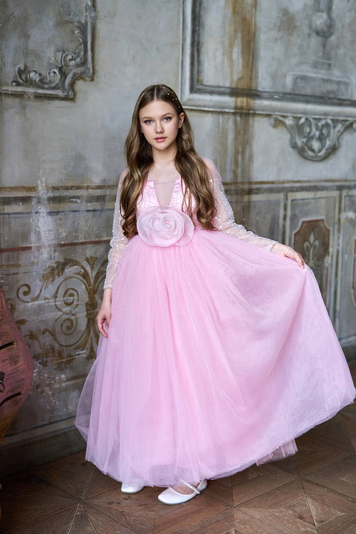 Safa Luxury Pink Full Sleeves Gown