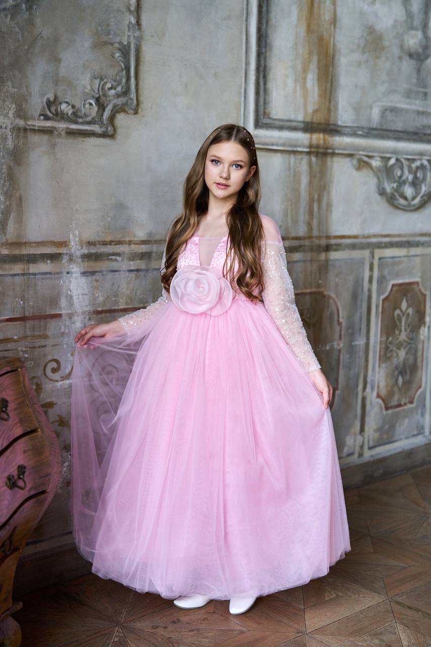 Safa Luxury Pink Full Sleeves Gown